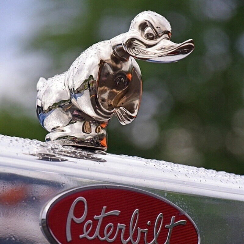 Art Craft Duck - Hood bebek marah ornamen depan mobil