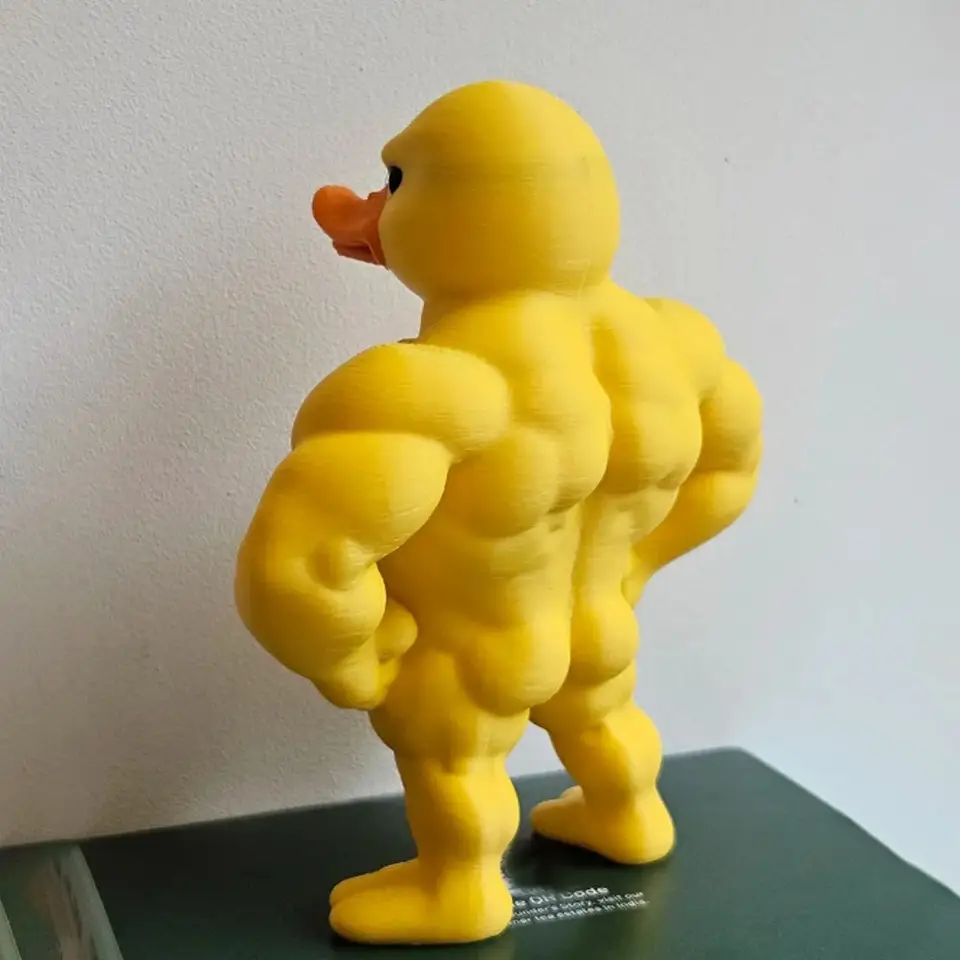 Art Craft Duck - 3/1 Buah Patung Bebek Otot/Marah -