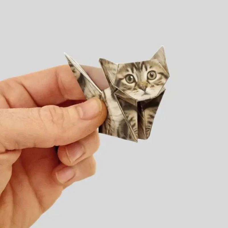 Kucing Kertas DIY Kreatif 50 L - Art Craft Dinosaurs ulasan dan harga