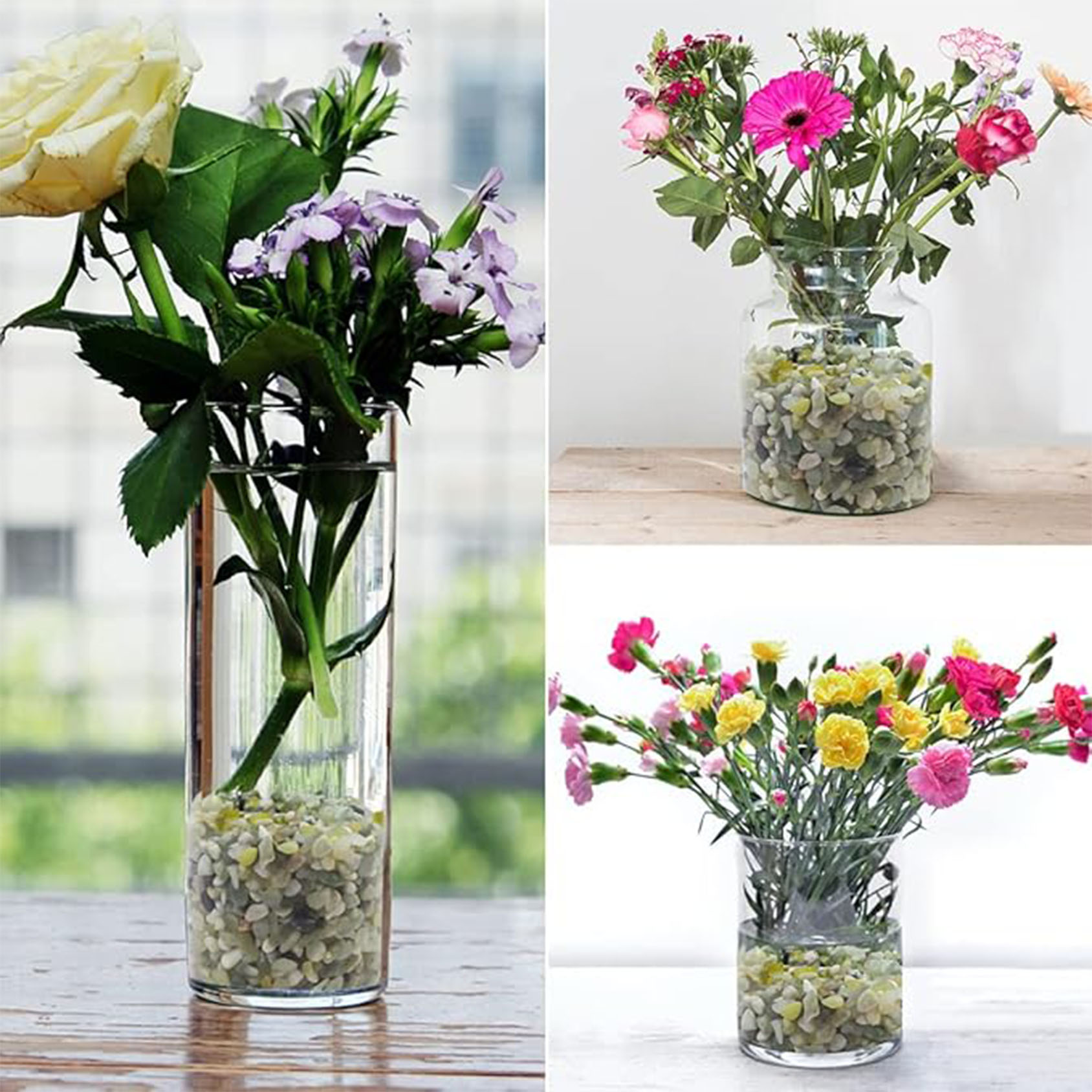 Kerikil Sukulen dan Kaktus, Ba - Art Craft Vase ulasan dan harga